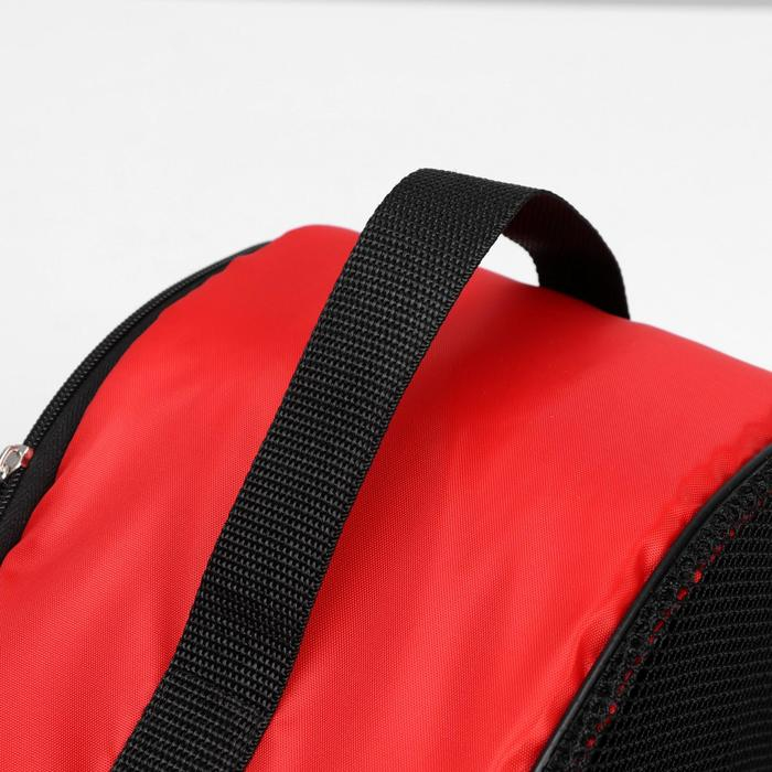 Сумка - переноска для животных, оксфорд, 36 х 17 х 25 см, красная Сумка - переноска для животных, оксфорд, 36 х 17 х 25 см, красная