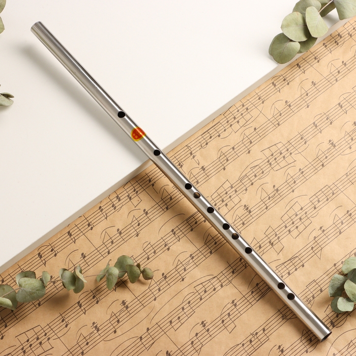 Флейта Music Life 304, 46 см, нержавеющая сталь, тональность G Флейта Music Life 304, 46 см, нержавеющая сталь, тональность G