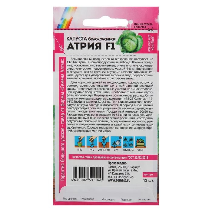 Семена Капусты белокочанной  Семена Капусты белокочанной "Атрия", F1, 12 шт.