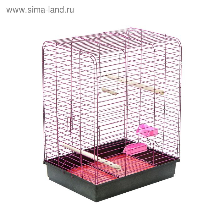 Клетка для корелл Клетка для корелл "Рикки 3", 50 х 40 х 63 см, микс цветов