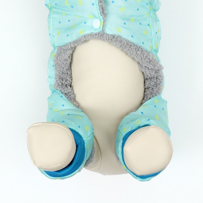 Комбинезон  Комбинезон "нежный путь" на меховом подкладе, размер L  (ДС 35, ОШ 35, ОГ 45 см), голубой