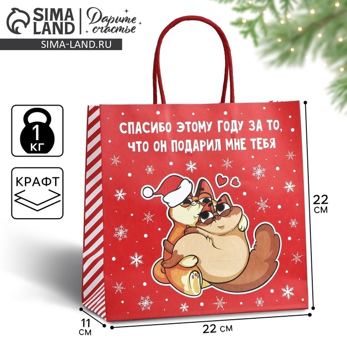 Пакет подарочный новогодний «Спасибо этому году», 22 х 22 х 11 см Пакет подарочный новогодний «Спасибо этому году», 22 х 22 х 11 см