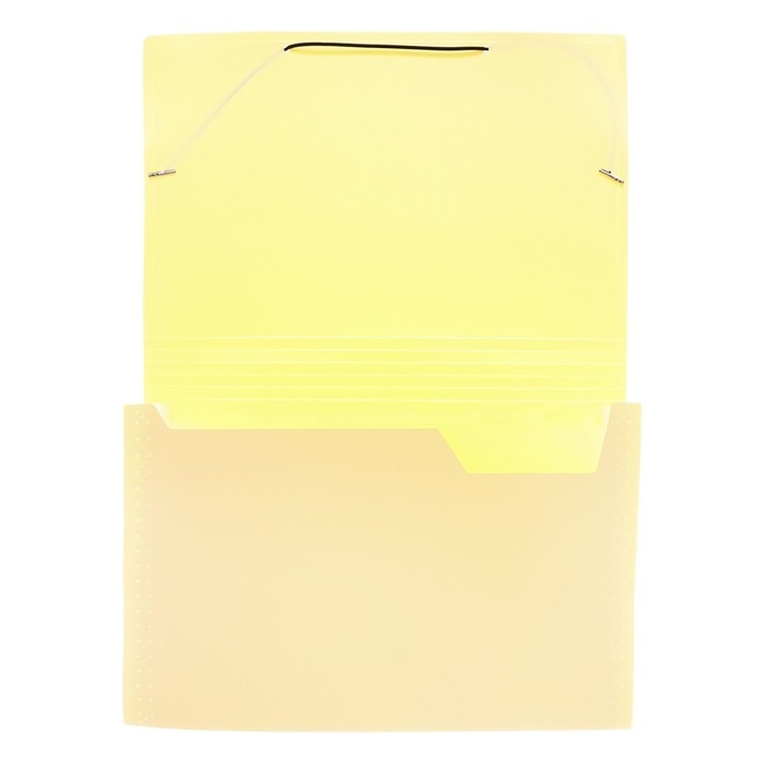 Папка картотека А4, Calligrata "Акварель", 6 отделений, пластиковая, 700 мкм, ванильная, резинка чёрная