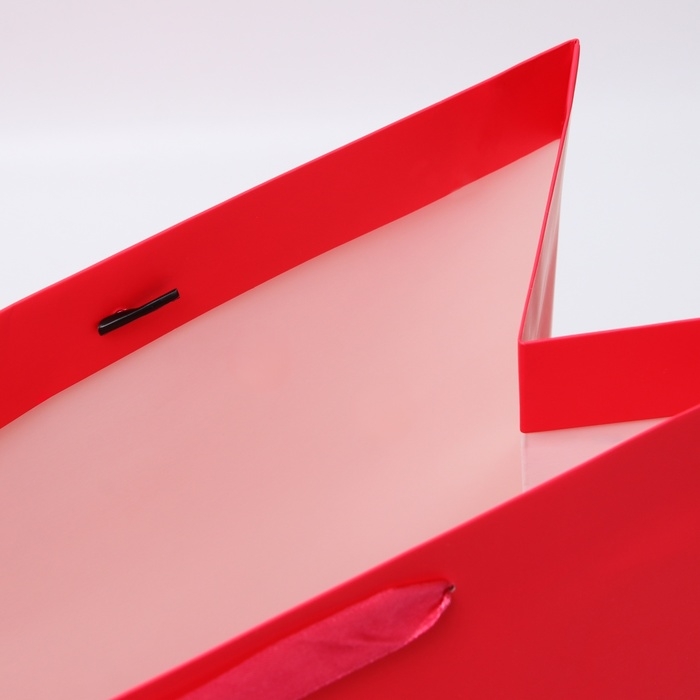 Пакет ламинированный вертикальный "Фуксия", XXL  46 х 61 х 20 см