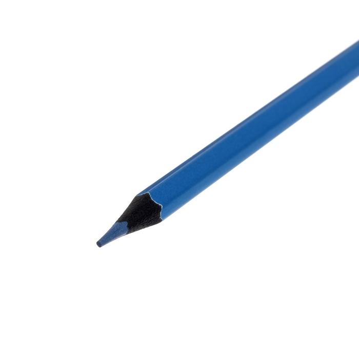 Карандаши 8 цветов ErichKrause Metallic Creative Line, цвета металлик, шестигранные, деревянные, грифель 3 мм, европодвес Карандаши 8 цветов ErichKrause Metallic Creative Line, цвета металлик, шестигранные, деревянные, грифель 3 мм, европодвес