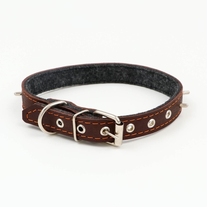 Ошейник кожаный на синтепоне, с шипами, 2 х 40 см, ОШ 25-35 см,тёмно-коричневый Ошейник кожаный на синтепоне, с шипами, 2 х 40 см, ОШ 25-35 см,тёмно-коричневый