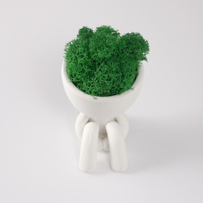 Кашпо бетонное мини Кашпо бетонное мини "Мистер Грин в ожидании" со мхом белый 5,5х7х7 см (мох зелен стабилиз)