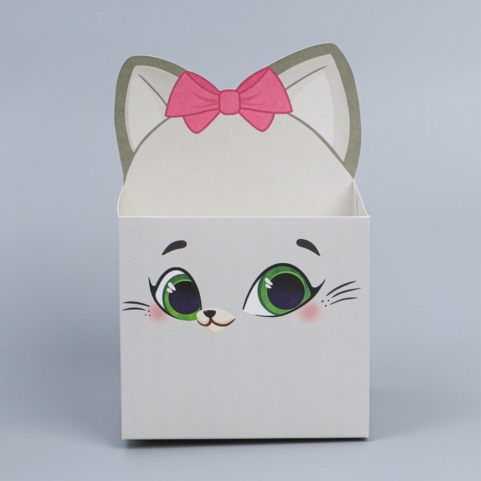 Коробки для мини букетов «Кисуля», 12 × 20 × 10 см