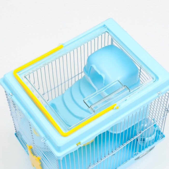 Клетка для грызунов Клетка для грызунов "Пижон", 27 х 21 х 27 см, голубая