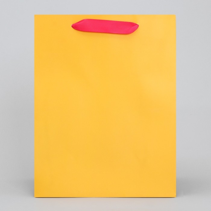 Пакет подарочный трёхцветный, упаковка, «Жёлтый-розовый-голубой», MS 18 х 23 х 10 см