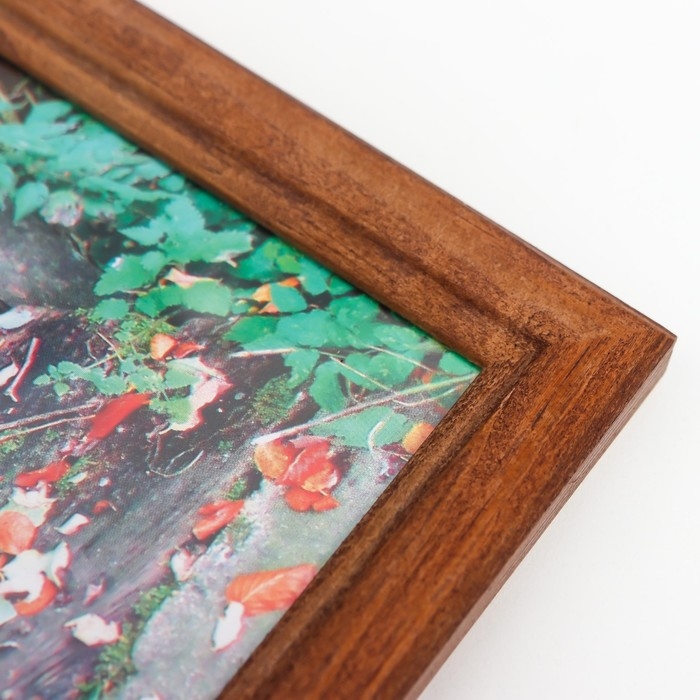 Фоторамка 21х30 (7N92) орех (пластиковый экран) Фоторамка 21х30 (7N92) орех (пластиковый экран)