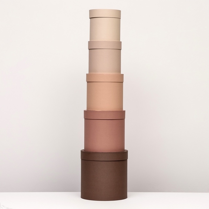 Набор шляпных коробок 5 в 1, коричневый, 23 х 23-15 х 15 см Набор шляпных коробок 5 в 1, коричневый, 23 х 23-15 х 15 см