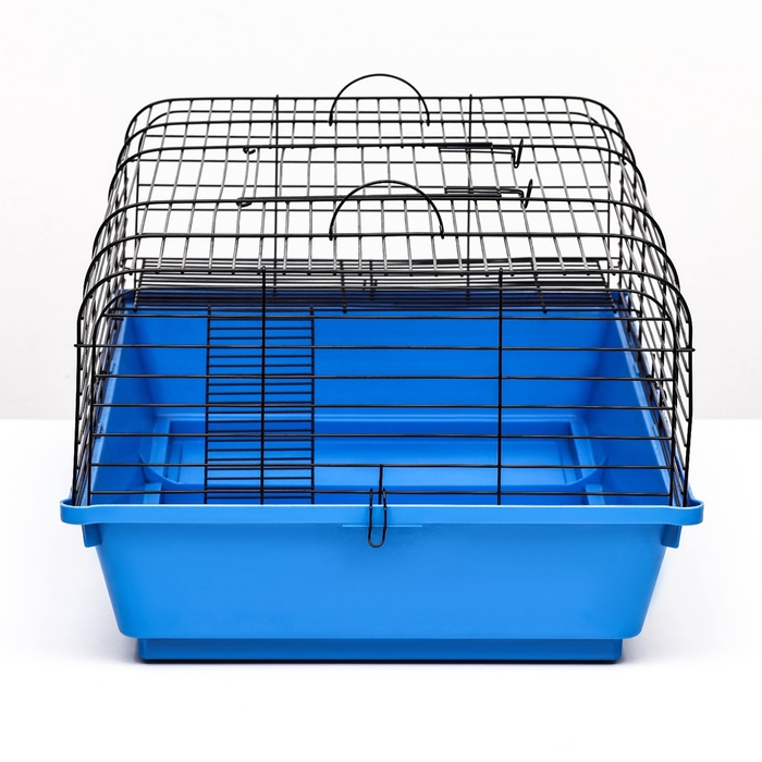 Клетка для грызунов Роджер 1, 79 х 44 х 28 см, микс Клетка для грызунов Роджер 1, 79 х 44 х 28 см, микс