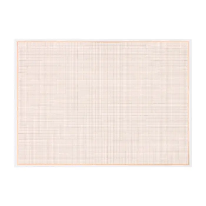 Бумага масштабно-координатная А4 10 листов Calligrata, оранжевая сетка Бумага масштабно-координатная А4 10 листов Calligrata, оранжевая сетка