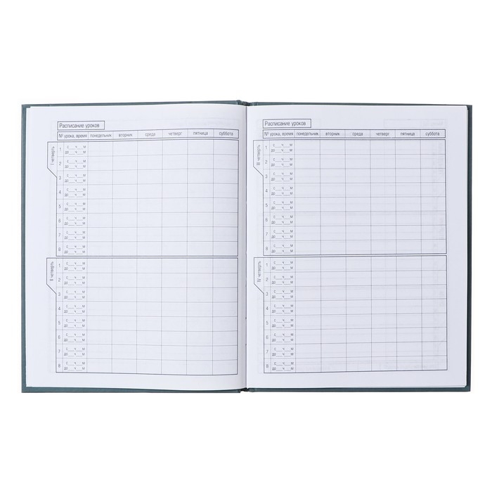 Дневник твердая обложка 1-11 класс, Girl power, металлик, выборочный лак, 40 листов