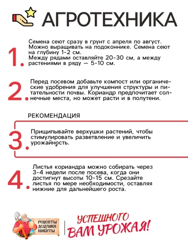 Семена Кориандр  Семена Кориандр "Бородинский", 5 г