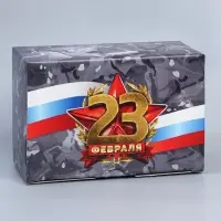 Коробка подарочная сборная, упаковка, &laquo;23 февраля&raquo;, 22&times;15&times;10 см