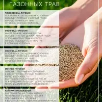 Газонная травосмесь &laquo;Спортивный&raquo; 0.5 кг