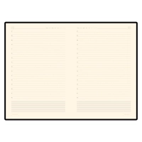 Ежедневник недатированный А5 Primavera, оранжевый 3-536/03