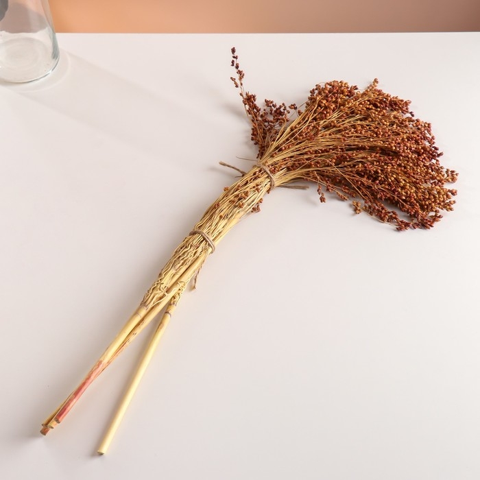 Набор сухоцветов "Сорго", банч 3-5 шт, длина 60 (+/- 6 см), натуральный