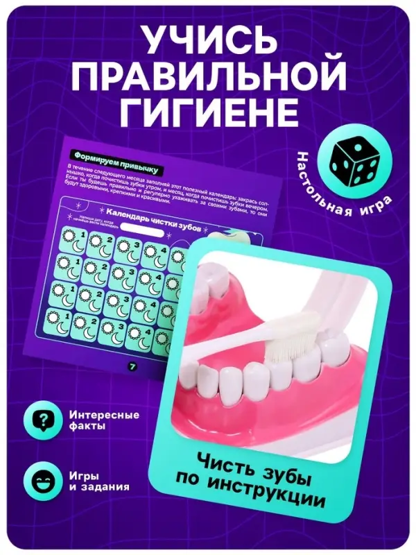 Набор для опытов &laquo;Анатомия&raquo;, челюсть человека