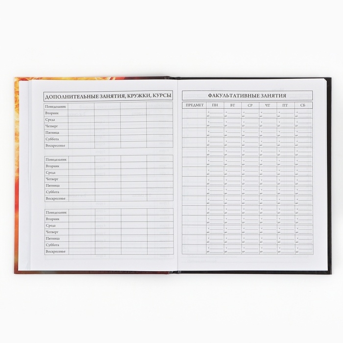 Дневник школьный 1-4 класса, в твердой обложке, 48 л &laquo;Футбольный мяч&raquo;