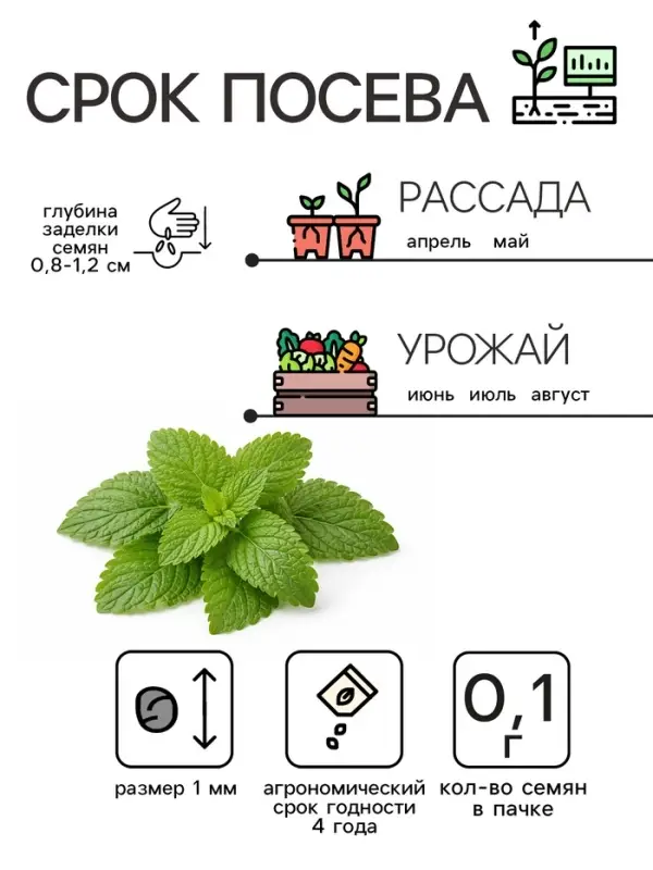 Семена Мелисса лекарственная &laquo;Лимонный аромат&raquo; 0.1 г, &laquo;Рецепты дедушки Никиты&raquo;