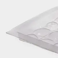 Форма для шоколада «Лепестки», пластик, 20.5×10×1 см, прозрачная