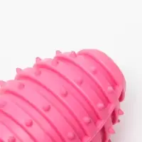 Жевательная игрушка для собак &laquo;Шантажист&raquo;, 10 см, TPR, розовая