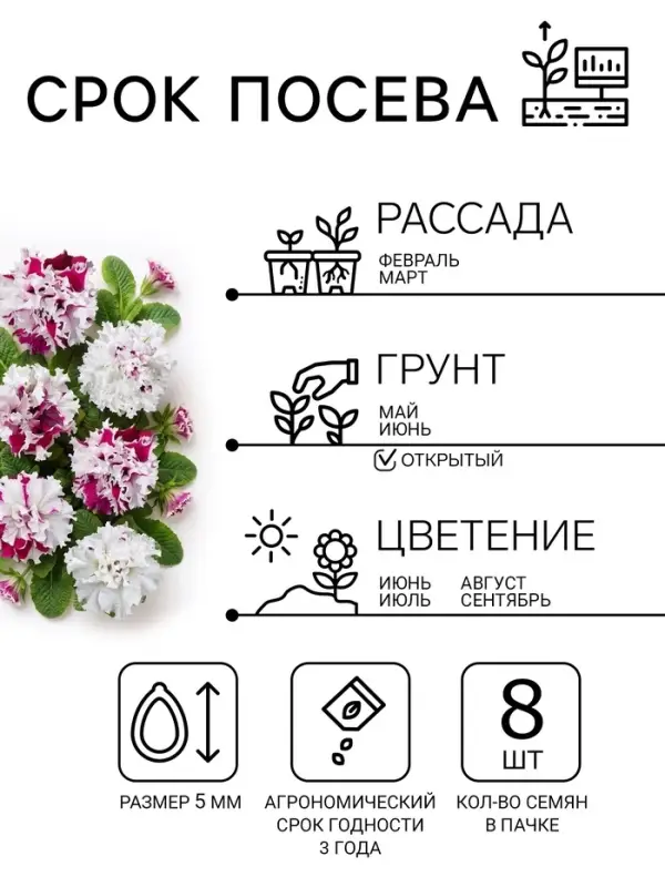 Семена цветов Петуния бахромчатая, крупноцветковая &laquo;Шампань&raquo; F1, 7 шт.