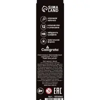 Набор карандашей чернографитных 12 штук, Calligrata Classic, заточенные, пластик, трехгранные, черные