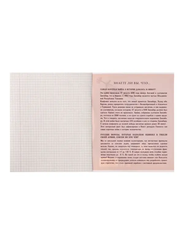 Тетрадь предметная, 36 листов в клетку, Calligrata &laquo;MonoTone. История&raquo;, серые листы