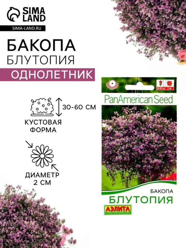Семена Цветов Бакопа &laquo;Блутопия&raquo;, однолетник, 3 шт., &laquo;АЭЛИТА&raquo;
