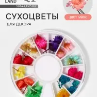 Сухоцветы для декора &laquo;Ромашки&raquo;, объёмные, 12 видов, в футляре, разноцветные
