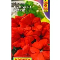 Семена цветов Петуния Лимбо F1 красная крупноцветковая (драже) С. Hem Genetics, Ц/П,7 шт. Семена цветов Петуния Лимбо F1 красная крупноцветковая (драже) С. Hem Genetics, Ц/П,7 шт.