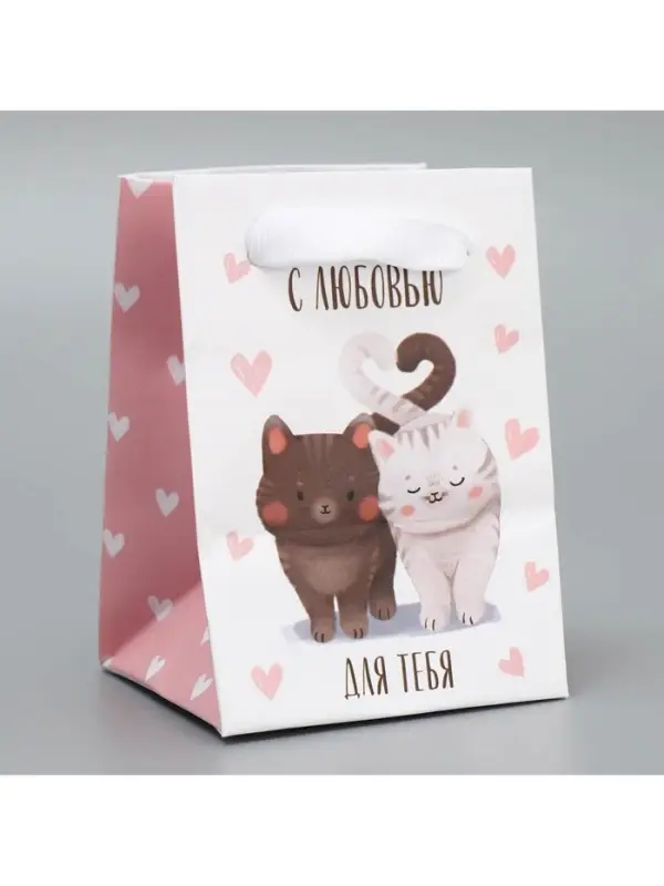 Пакет подарочный ламинированный, упаковка, «Котики», 7×10×7 см Пакет подарочный ламинированный, упаковка, «Котики», 7×10×7 см