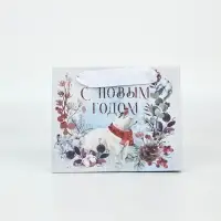 Пакеты подарочные новогодние &laquo;Время чудес в Новом году&raquo;, набор 4 шт.
