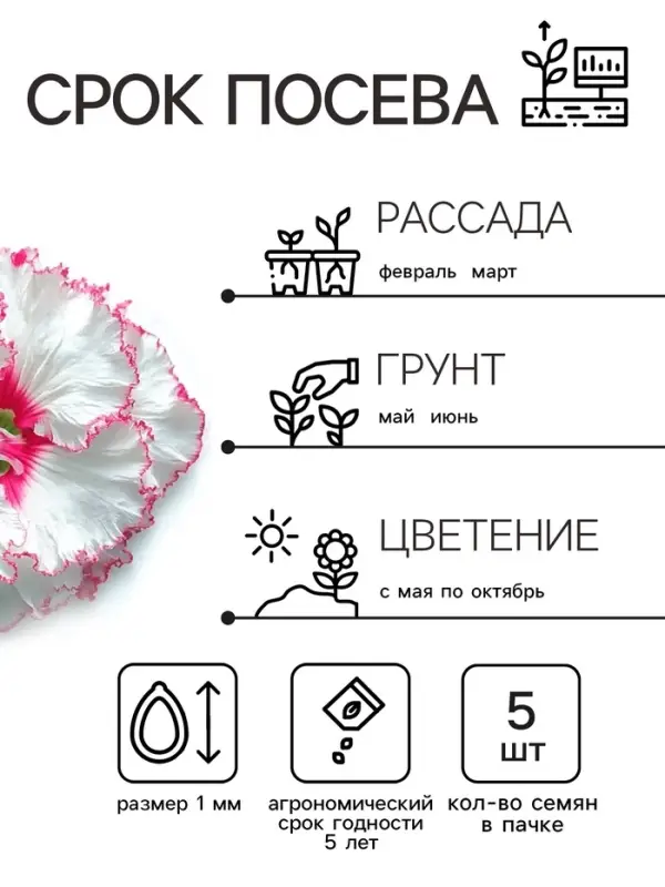 Семена цветов Петуния "Яромнерже", 5 шт.