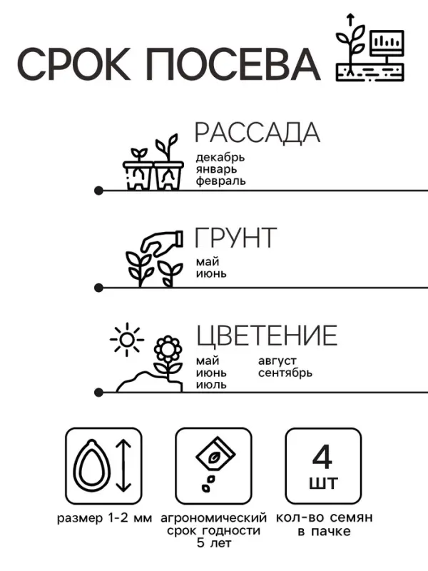 Семена Пеларгония "Найт Роуз", ц/п,  F1, 4 шт.