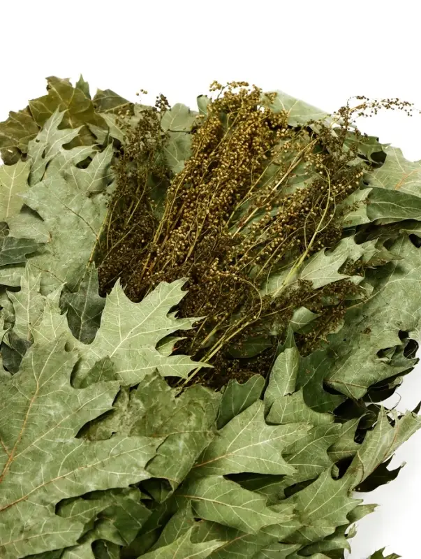 Веник для бани, дубовый, 55 см, с полынью, &laquo;Добропаровъ&raquo;