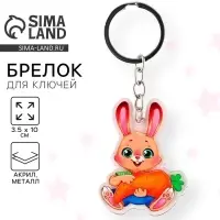 Брелок для ключей детский акриловый «Зайка», 3,5 х 10 см Брелок для ключей детский акриловый «Зайка», 3,5 х 10 см