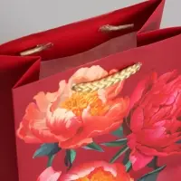 Пакет подарочный ламинированный &laquo;Яркий акцент&raquo;, 11.5&times;14.5&times;6.5 см