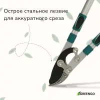 Сучкорез профессиональный, 27.5&minus;40.5" (70.5&minus;103 см), телескопический, с пластиковыми ручками, МИКС, Greengo