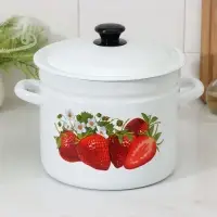Кастрюля эмалированная, 7 л, d=24 см, с крышкой, деколь МИКС, белая