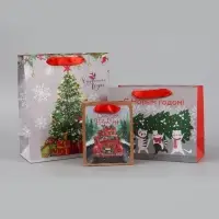Пакеты подарочные новогодние &laquo;Чудесного Года&raquo;, набор 3 шт., 12&times;15&times;5.5 см, 23&times;18&times;10 см, 23&times;27&times;11.5 см