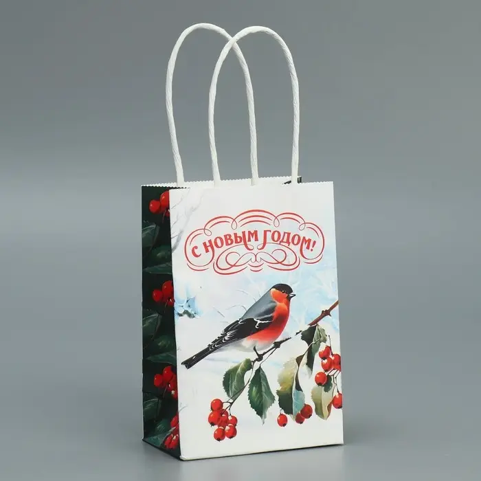 Пакет подарочный новогодний крафтовый «Зимушка», 15 х 10 х 6 см