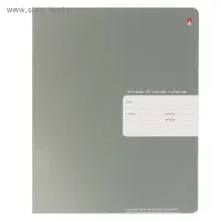Тетрадь 18 листов в клетку Platinum, обложка металлизированный картон