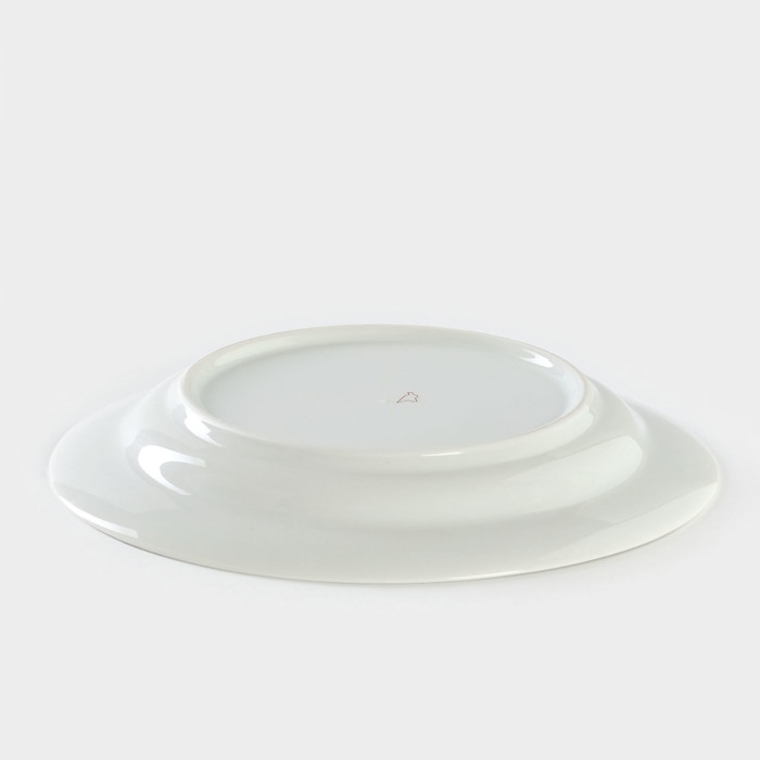 Тарелка фарфоровая «Маргаритки», d=24 см Тарелка фарфоровая «Маргаритки», d=24 см