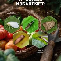 Средство от насекомых и вредителей &laquo;Боверин&raquo;, 50 г