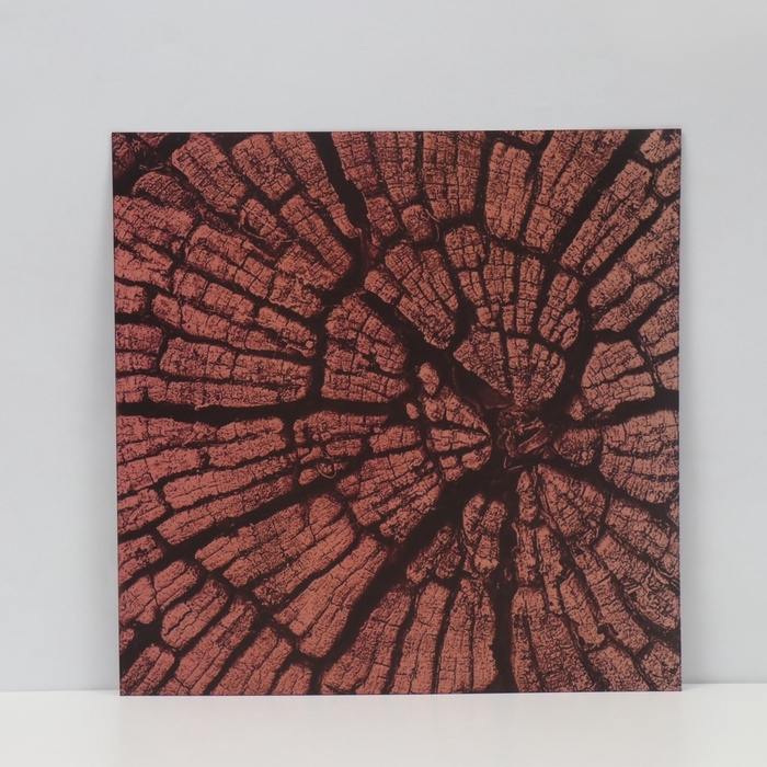 Фотофон двусторонний картон плотность 350 гр Фотофон двусторонний картон плотность 350 гр "Дерево" 50х50 см